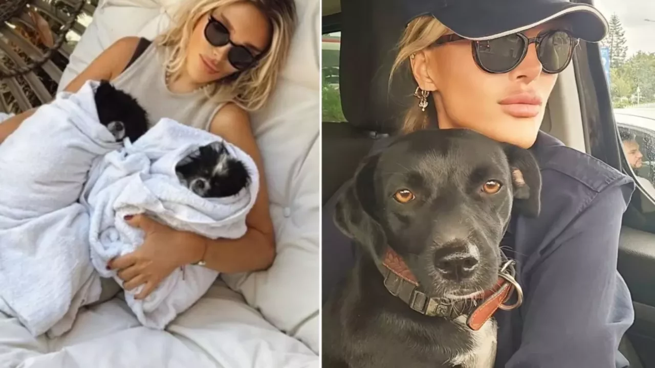  Ünlü şarkıcı Seren Serengil İstanbul'u terk ediyor 