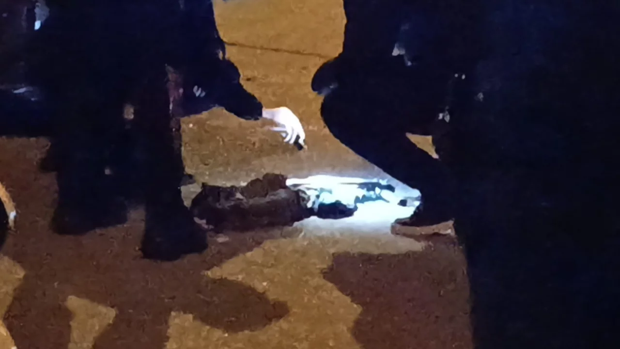 Uzun namlulu silahla etrafa rastgele ateş açmıştı! Emniyet enseledi...