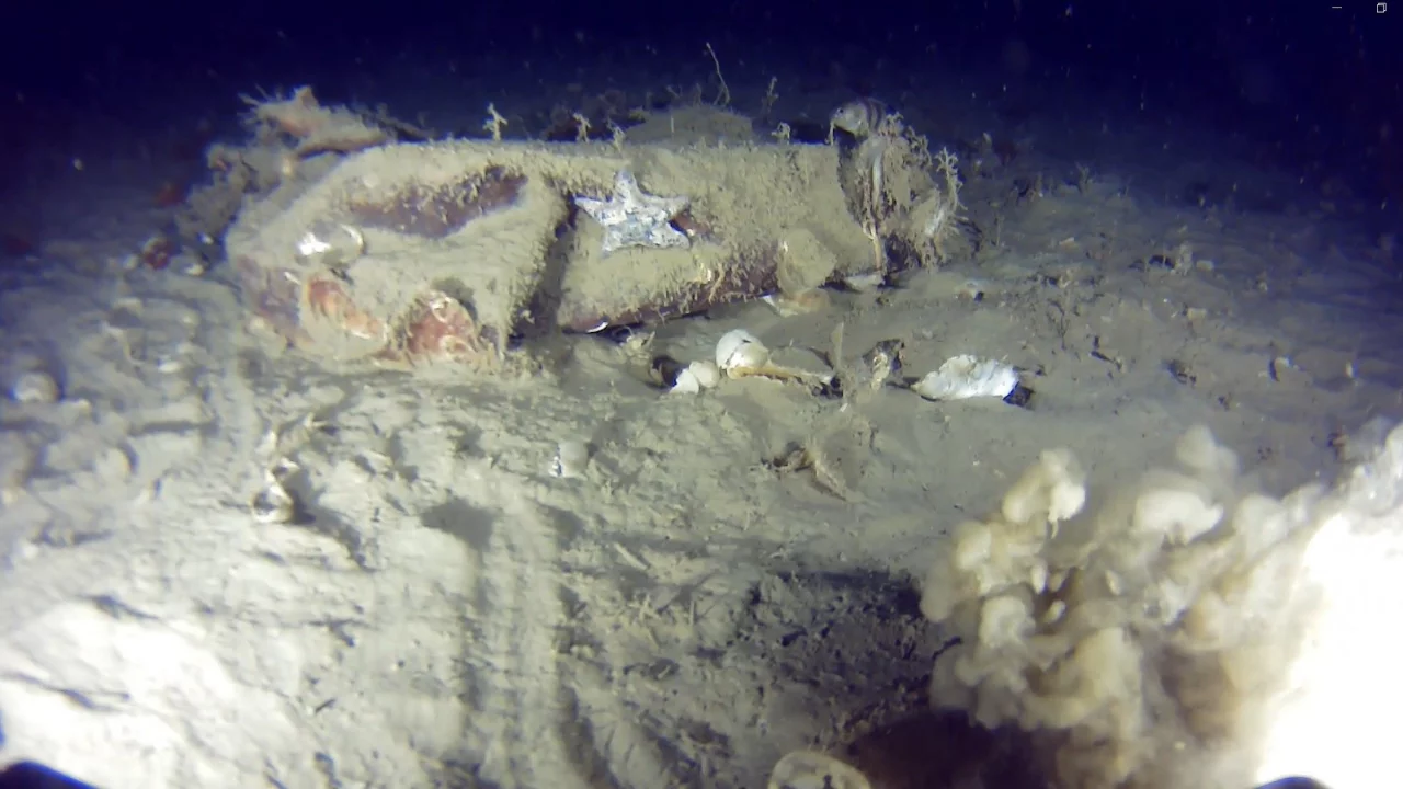 51 yıl önce düşen 'Bursa' uçağı ile ilgili flaş gelişme! Yeni parçalar bulundu...