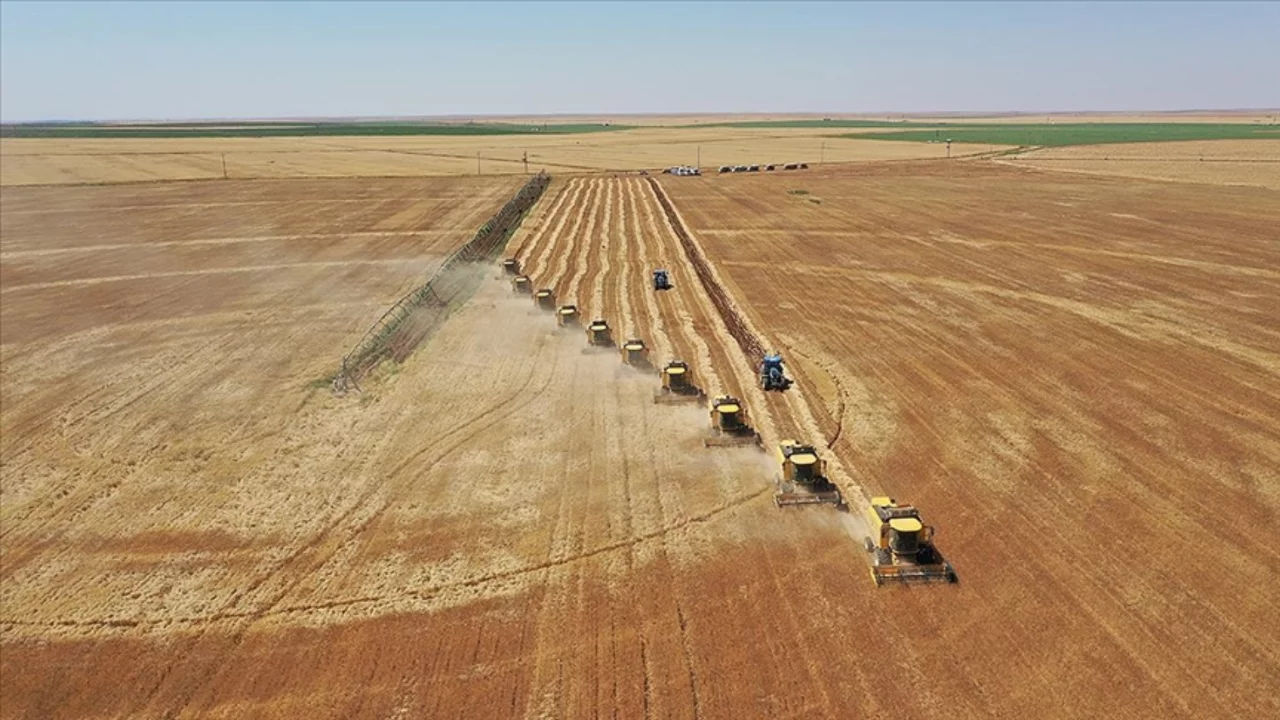 5 soruda tarıma yönelik Hazine destekli yatırım ve işletme kredileri 