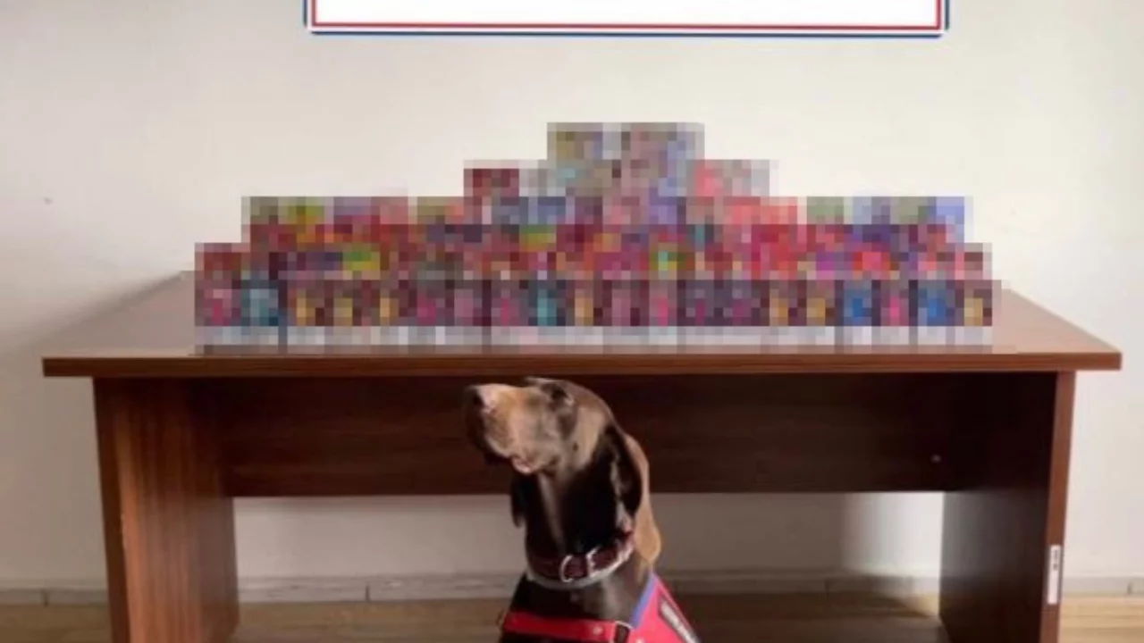 Bolu'da 150 adet elektronik sigara ele geçirildi