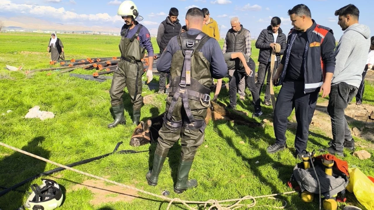Kuyuya d&uuml;şen inek itfaiye ekiplerince kurtarıldı