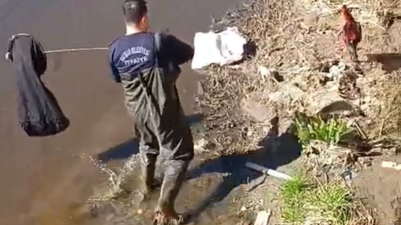 İtfaiye ekipleri dereye d&uuml;şen horoz i&ccedil;in seferber oldu