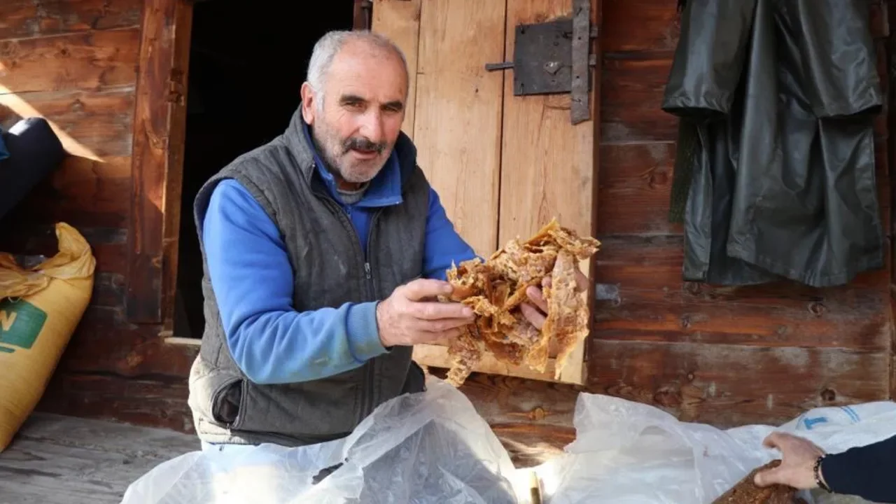 Adeta enerji deposu! Sadece o mahallede üretiliyor... Keserle çıkarıyorlar 
