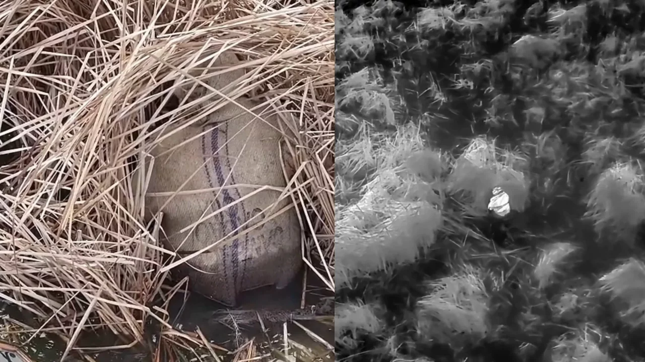 Yasa dışı avcılık yapan 13 kişiye idari işlem