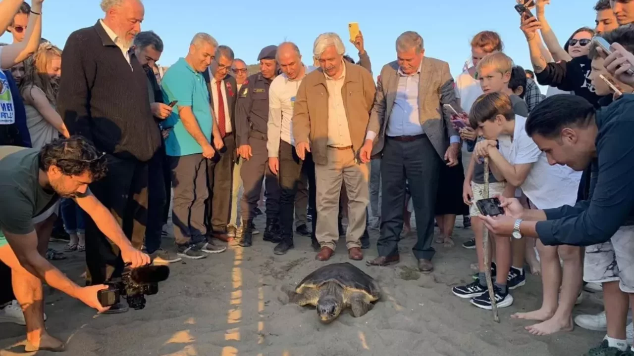 Caretta caretta 'Cumhuriyet'i 10 bin kişi izledi