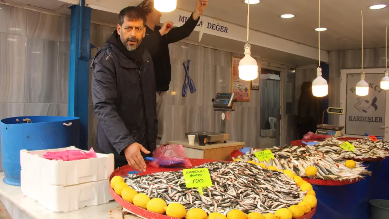 Hamsi 100 TL ucuzladı! İşte fiyatı 