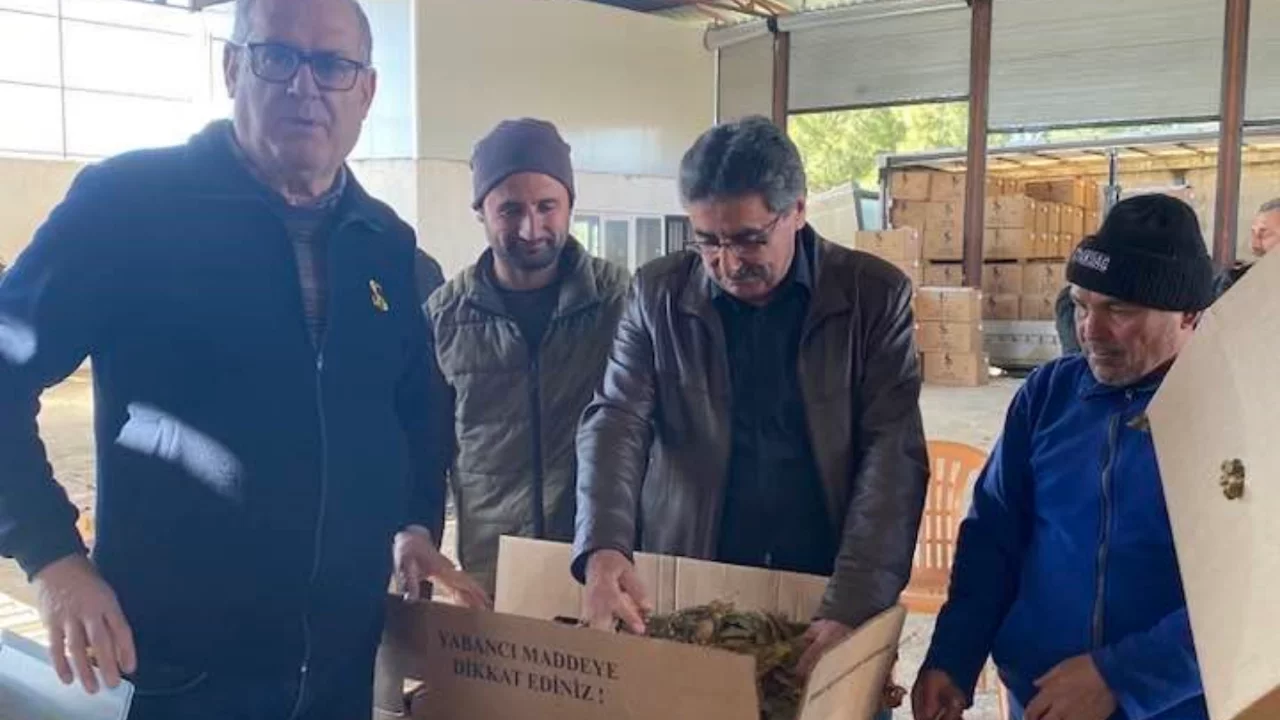 T&uuml;t&uuml;nler paketlenmeye başladı, &uuml;retici fiyatlardan dert yandı