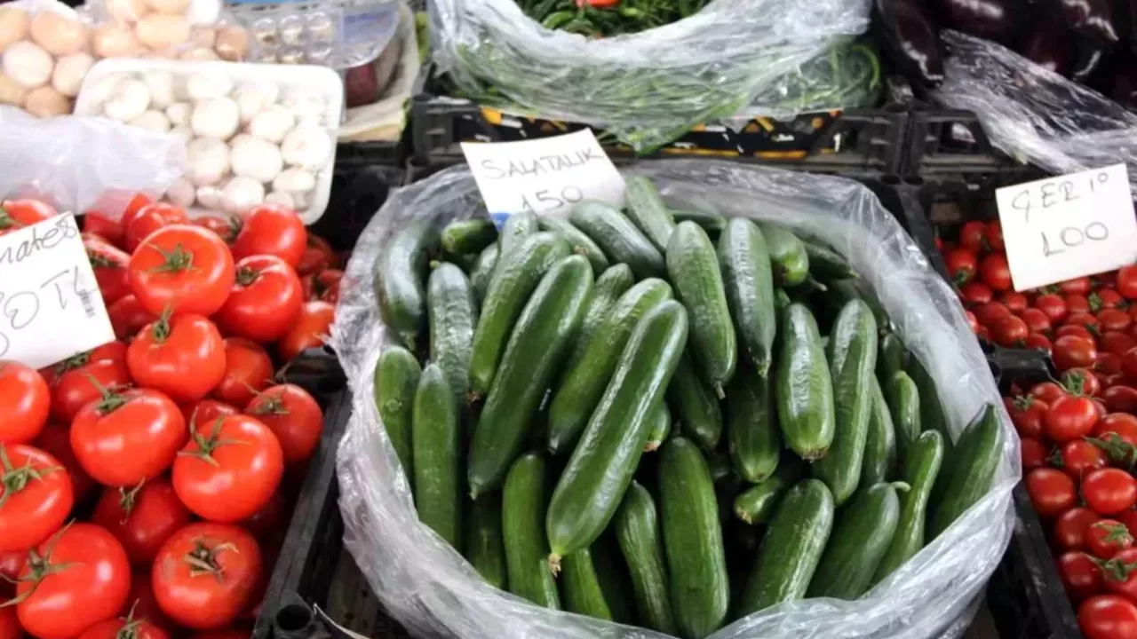 Seralar zarar gördü, Muğla'da salatalık rekor fiyata ulaştı