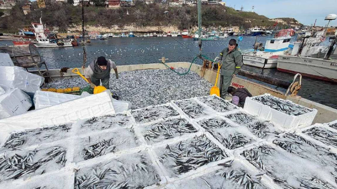 Kırklareli'nden yola çıktılar: 6 saatte 30 ton avladılar 