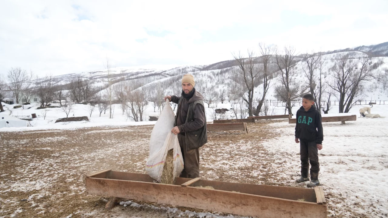 Muş'ta kış ve bahar aynı anda yaşanıyor