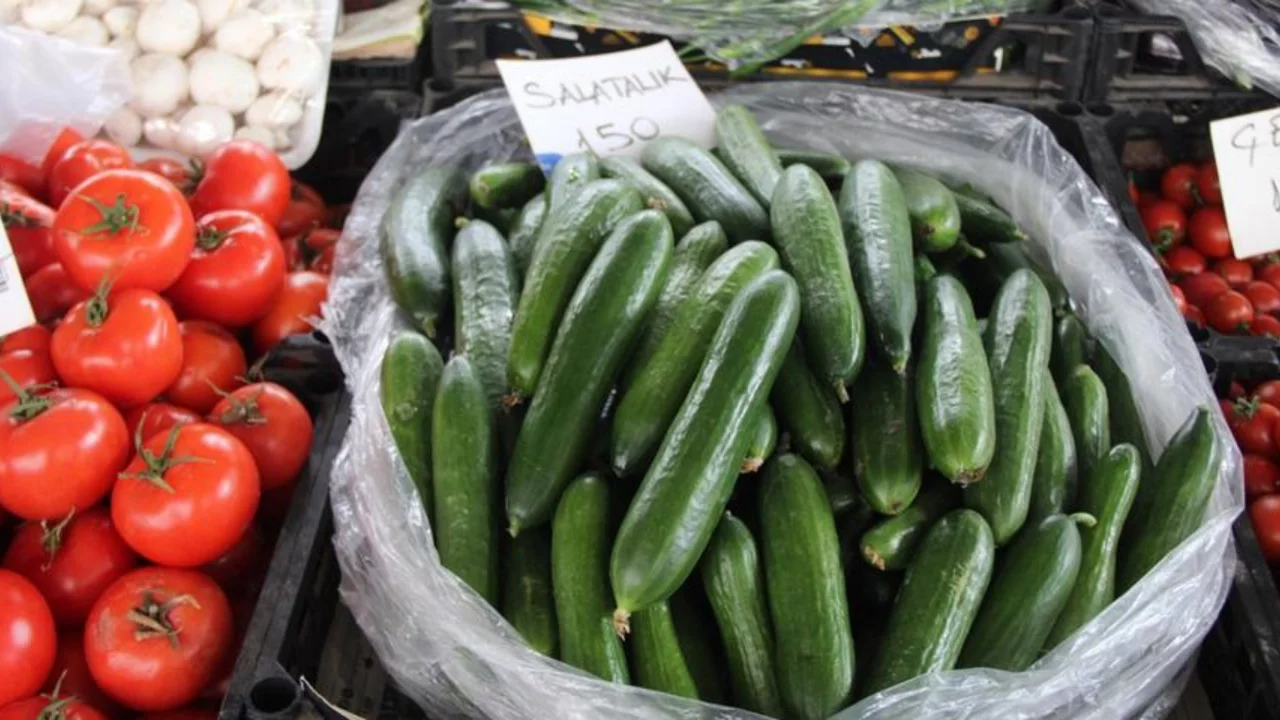 Muğla'da salatalık rekor fiyata ulaştı! Sebebi ise...