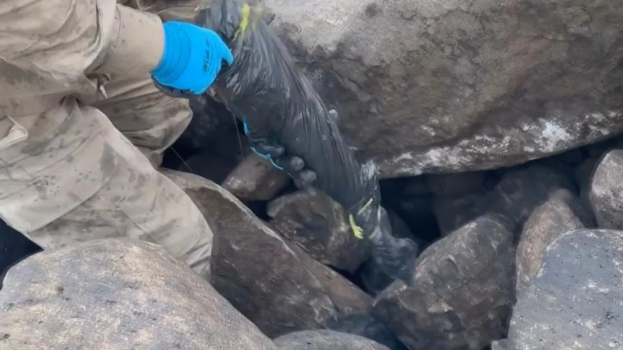 Şanlıurfa'da silah kaçakçılığı operasyonu: 8 gözaltı