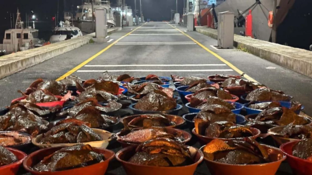 Denizin ortasında tonlarca ele geçirildi: Kova kova kıyıya taşındı 