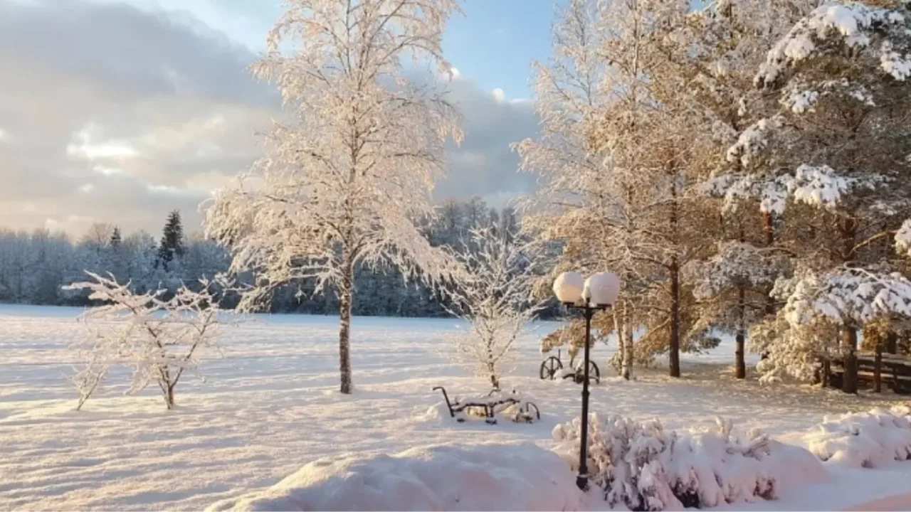 Bitlis okullar tatil mi, 26 Şubat Perşembe Bitlis'te okul yok mu?
