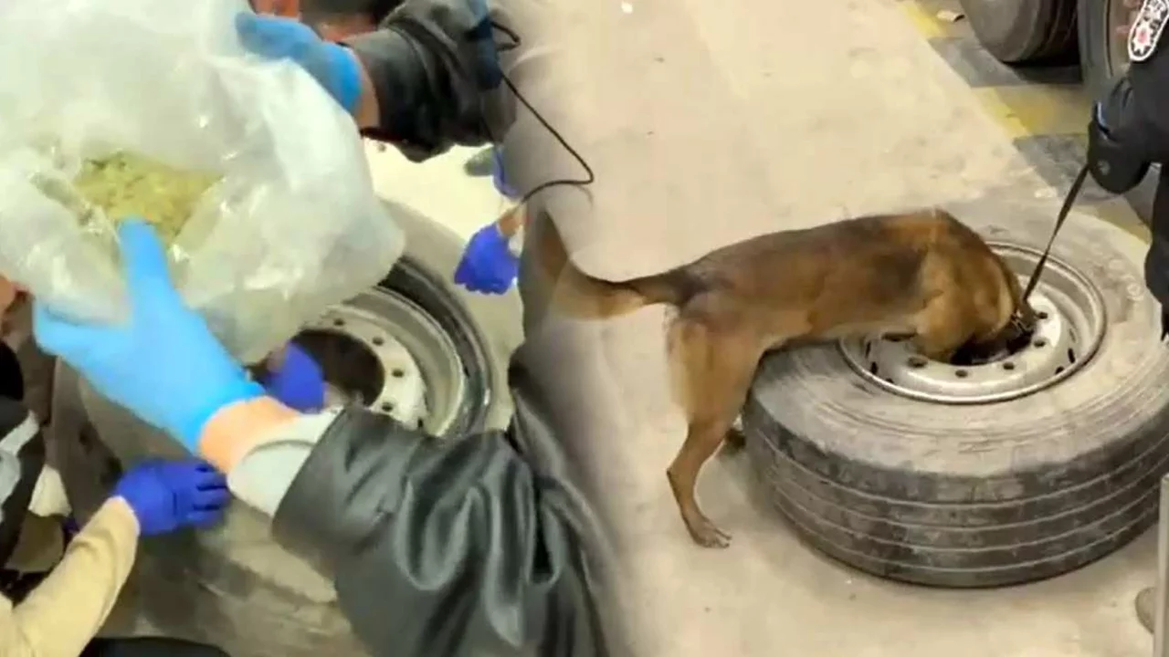 Durdurulan tırdan kilolarca uyuşturucu çıktı! 