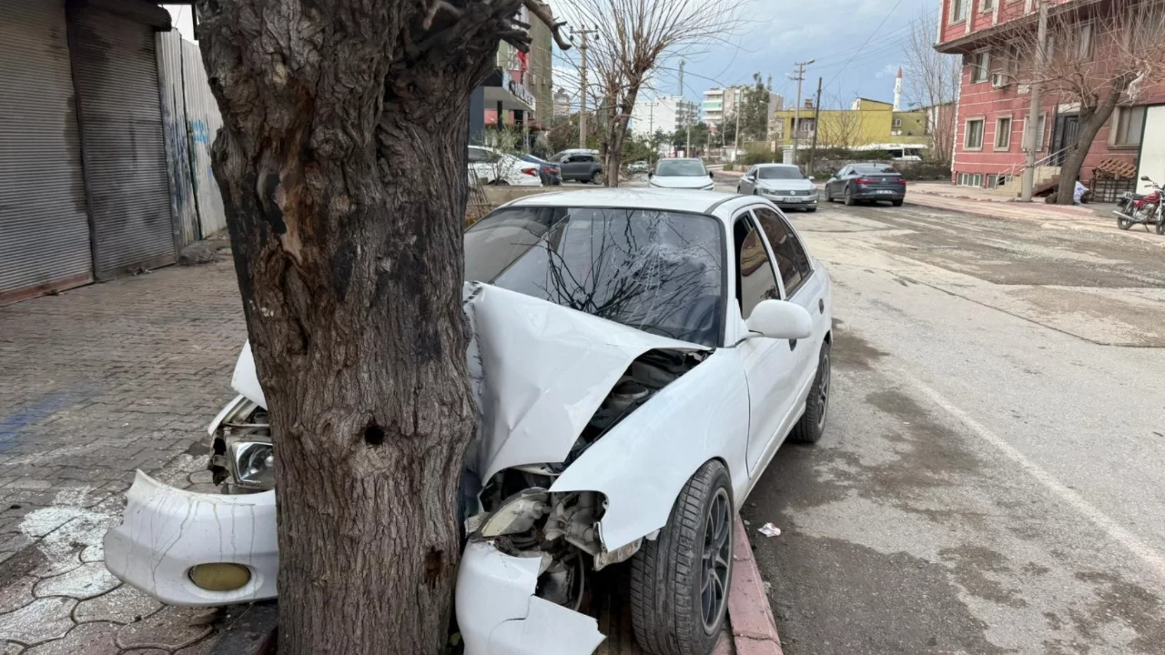 Ehliyetsiz sürücünün kontrolünü kaybettiği otomobil ağaca çarptı