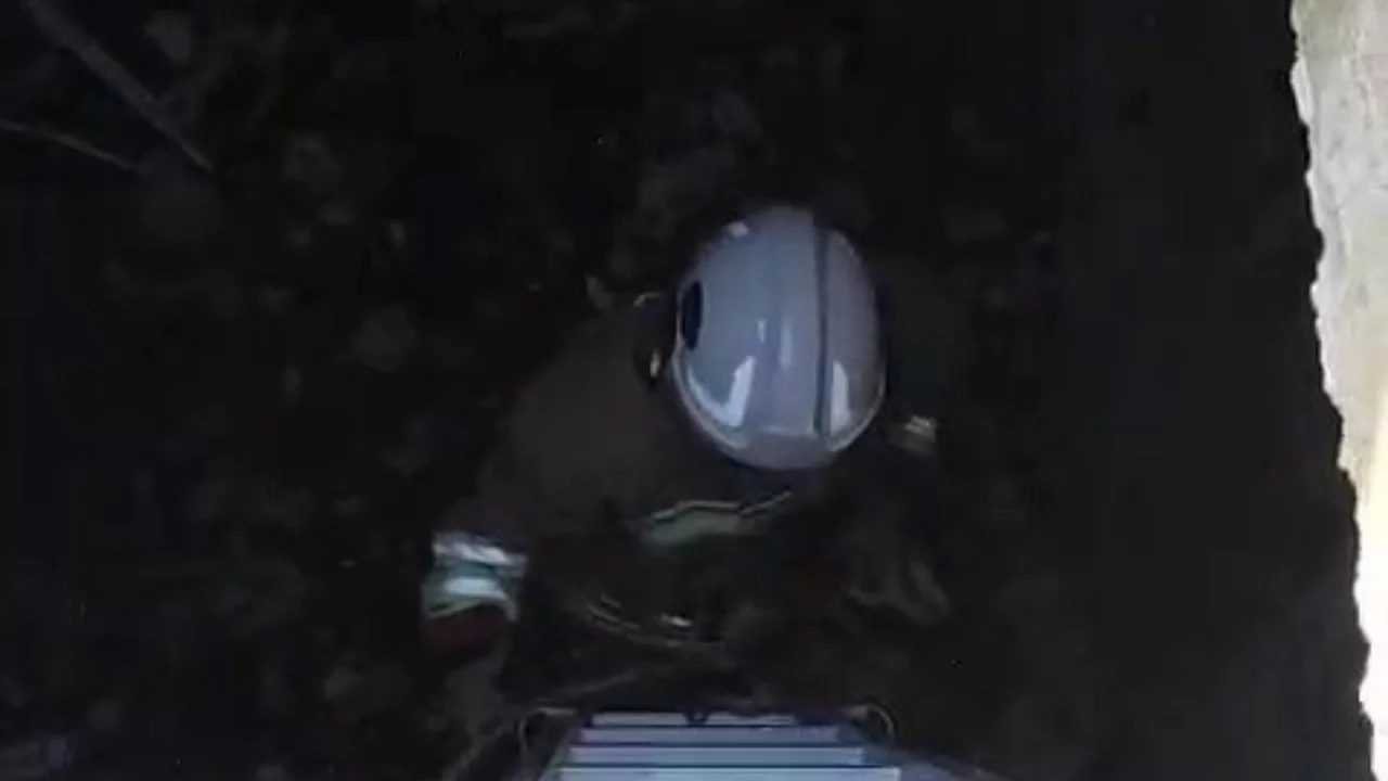 Atık su deposuna düşen kediyi kurtaran itfaiyeci, alkışlarla karşılandı