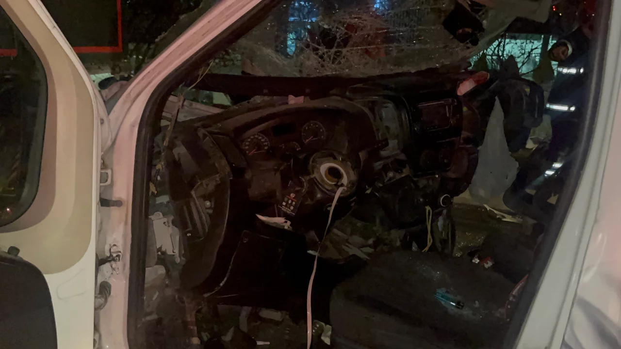 54 yaşındaki kadın feci kazada hayatını kaybetti