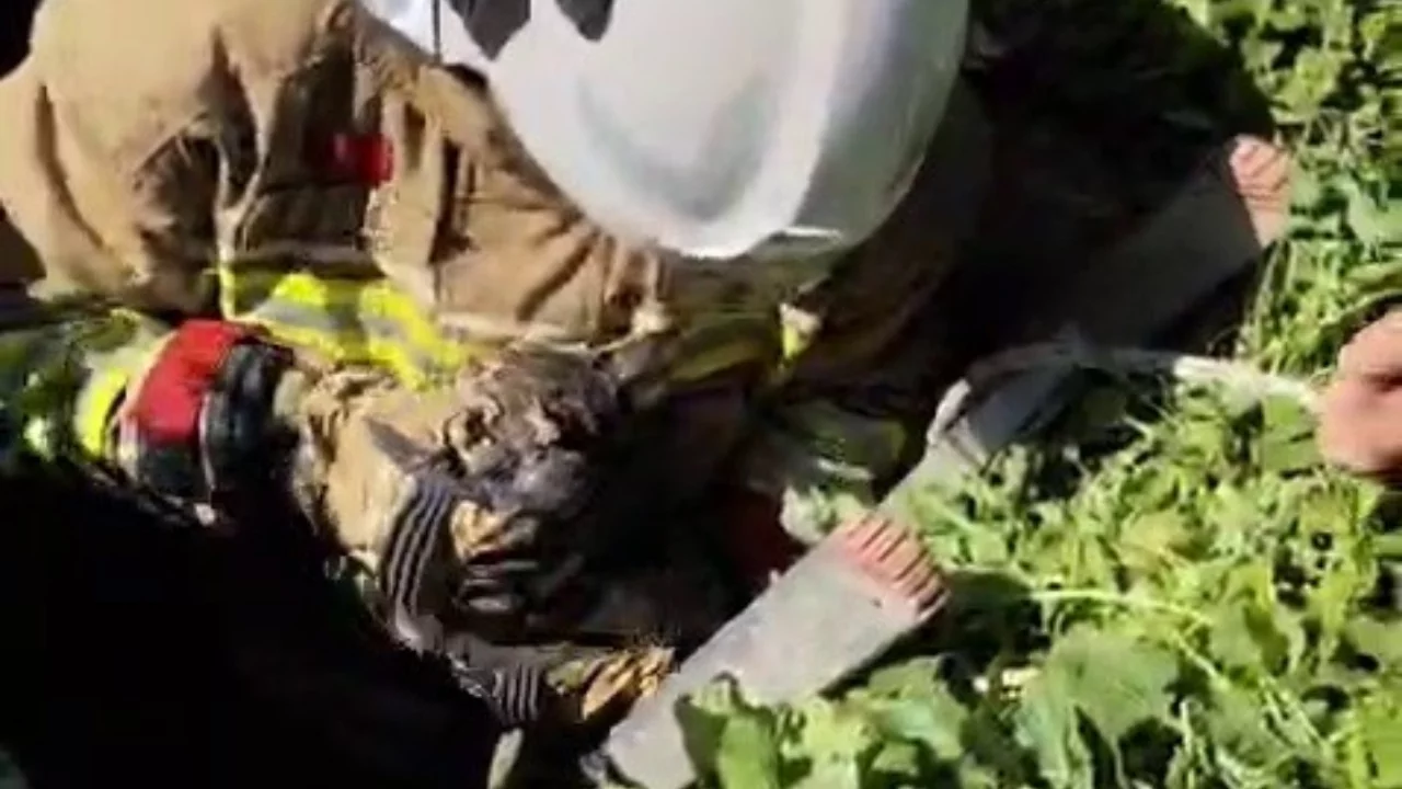 Atık su deposuna düşen minik kedi ekipleri harekete geçirdi