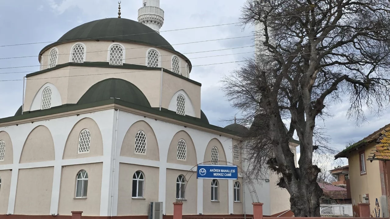 Asırlık &ccedil;itlembik ağacı i&ccedil;in 'koruma' &ccedil;ağrısı