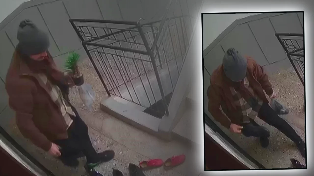 Marka meraklısı hırsız! Umduğunu bulamayınca çiçek çaldı 