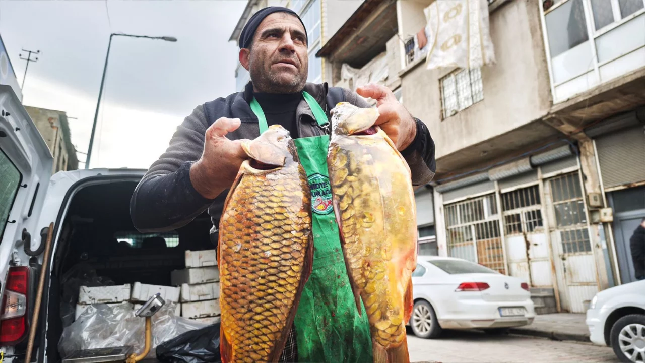 Kilosu 200 liradan kapış kapış satılıyor 