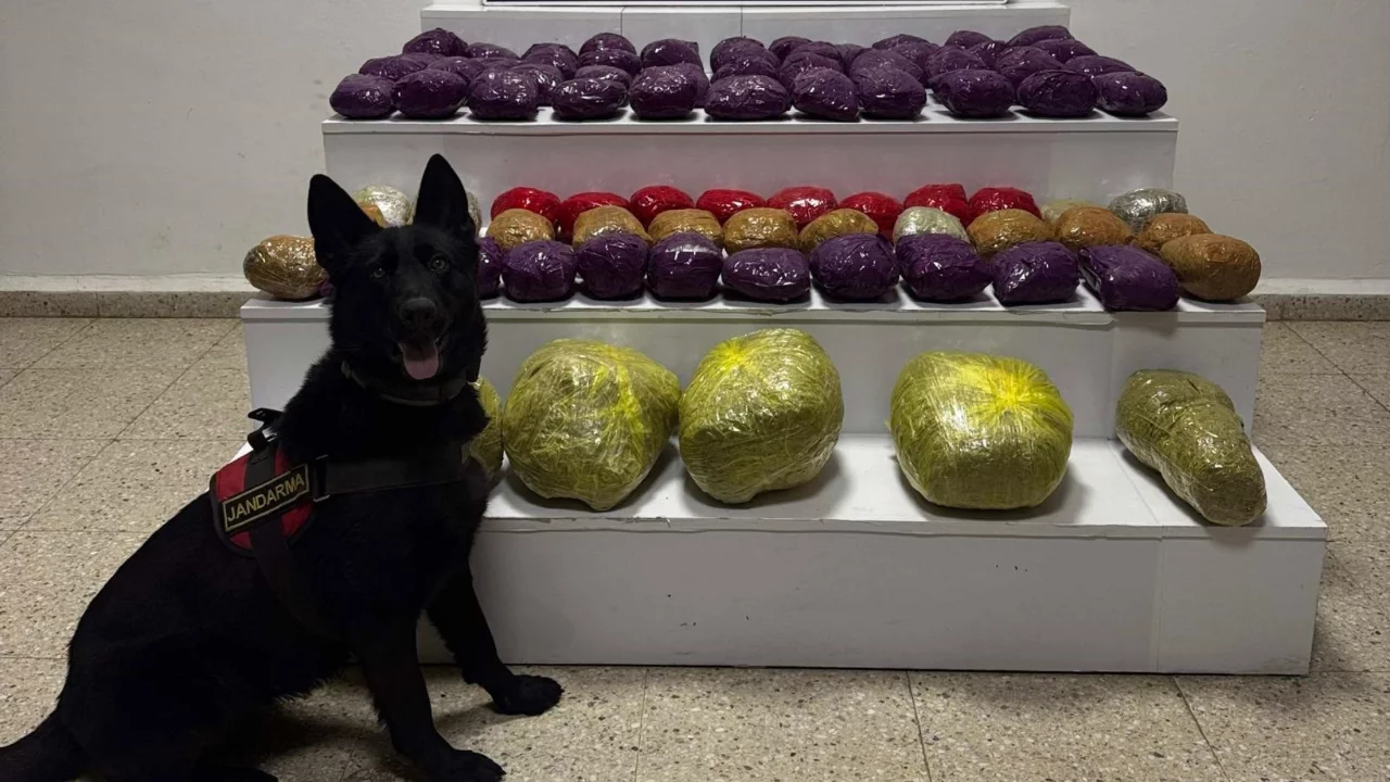 Van'da arazide 31 kilo uyuşturucu ele ge&ccedil;irildi