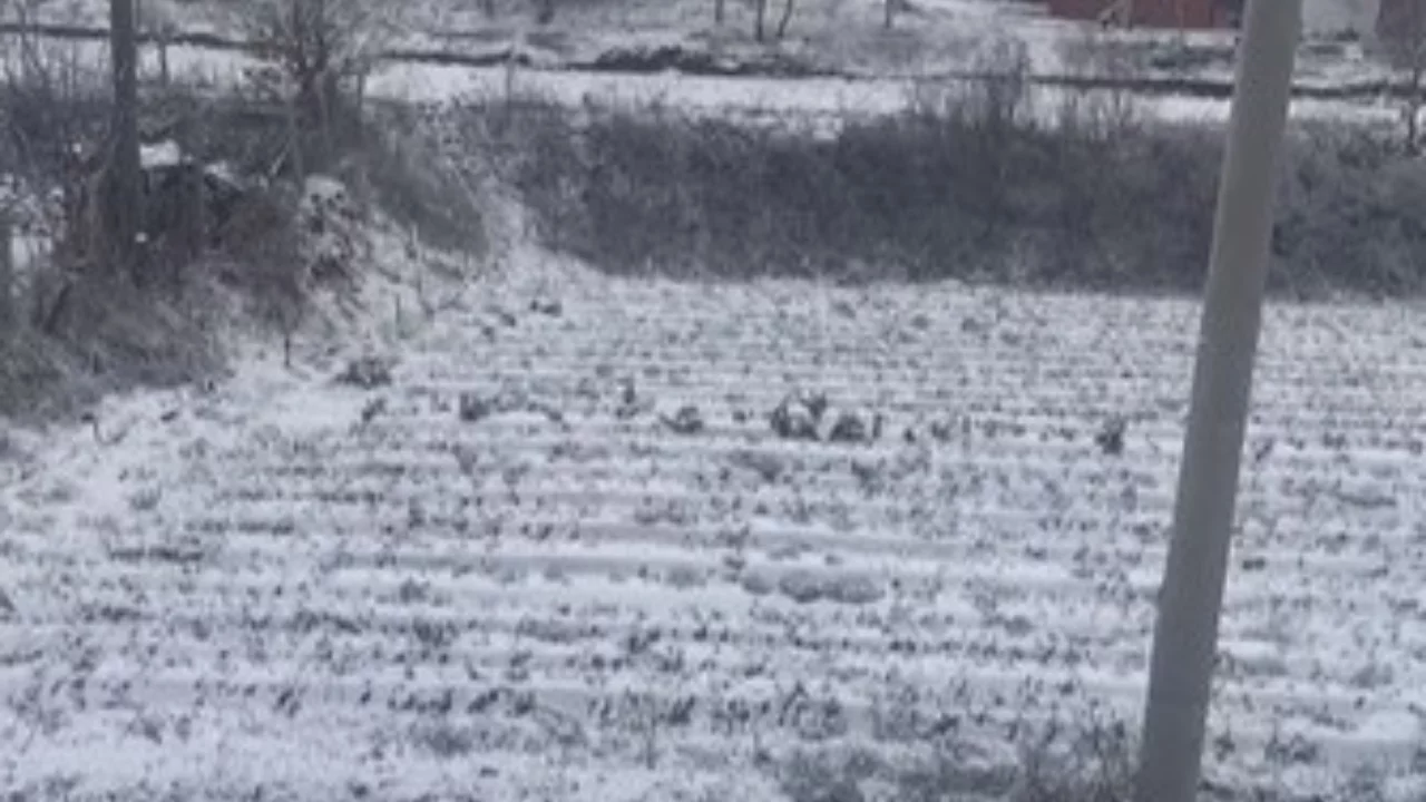 Aydın'ın yüksekleri beyaza büründü