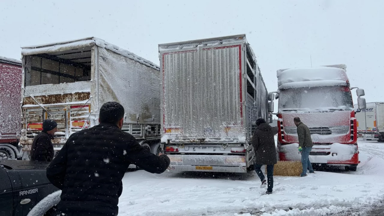 Erzincan'da yolda kalan 200 büyükbaş hayvana yem takviyesi
