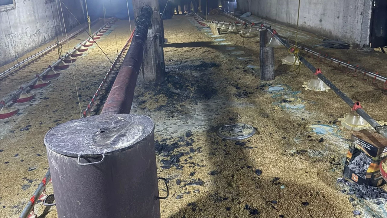 Kümes yangını büyümeden söndürüldü