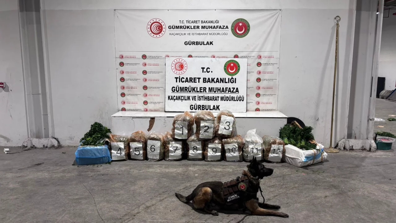 Ağrı'da G&uuml;rbulak Sınır Kapısı'nda 51 kilo 520 gram esrar ele ge&ccedil;irildi