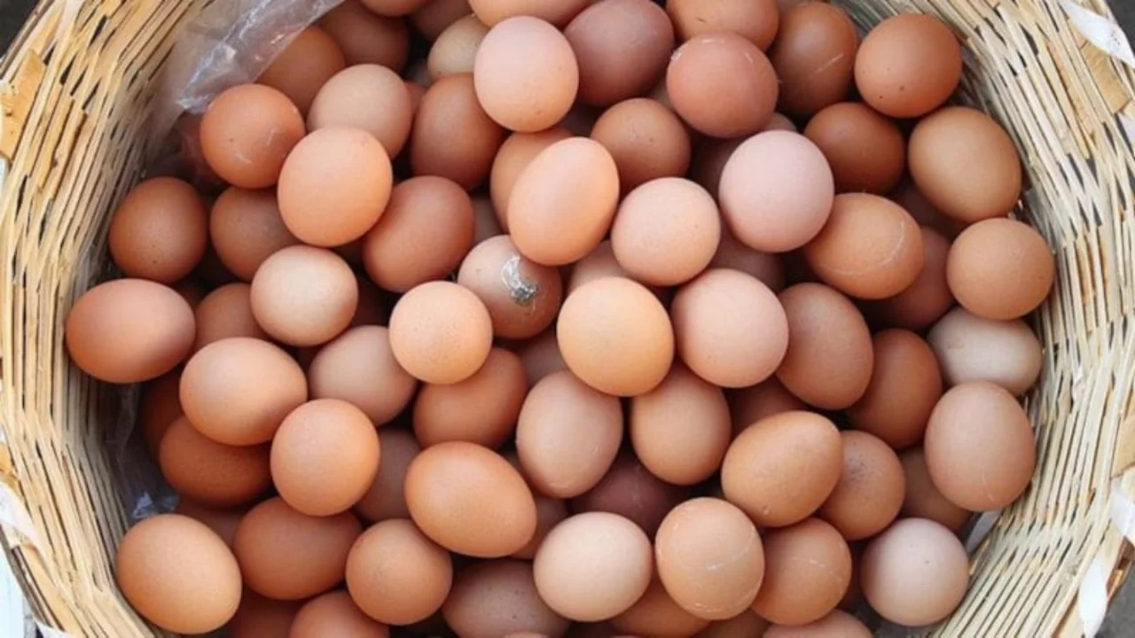 Artvin'in Şavşat il&ccedil;esinde eğitime kar engeli