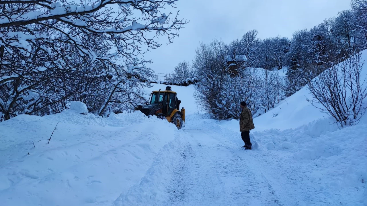Artvin'de 80 köy yolu ulaşıma kapandı