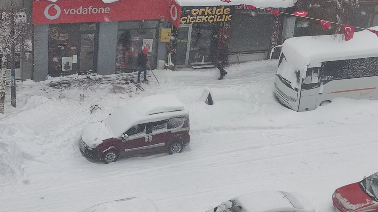 Kar Ardahan'da hayatı olumsuz etkiledi: 132 köy yolu ulaşıma kapandı 