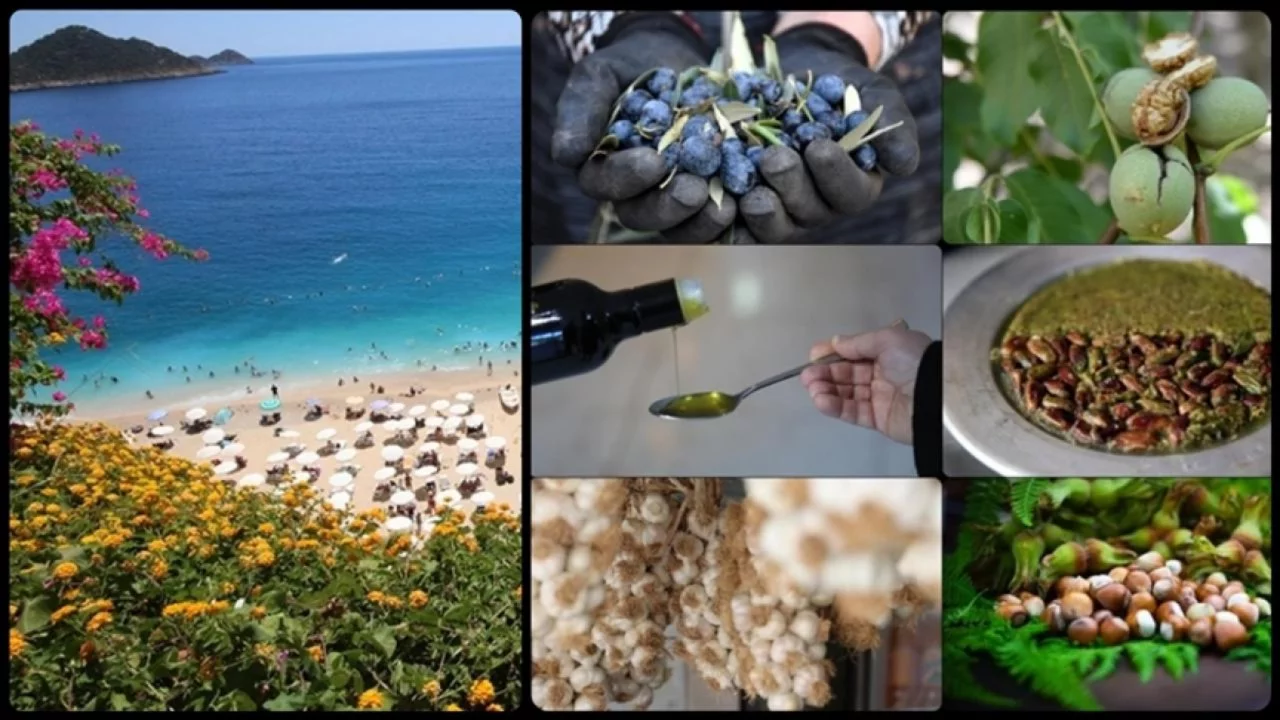 Coğrafi işaret tescilinde Hatay zirvede