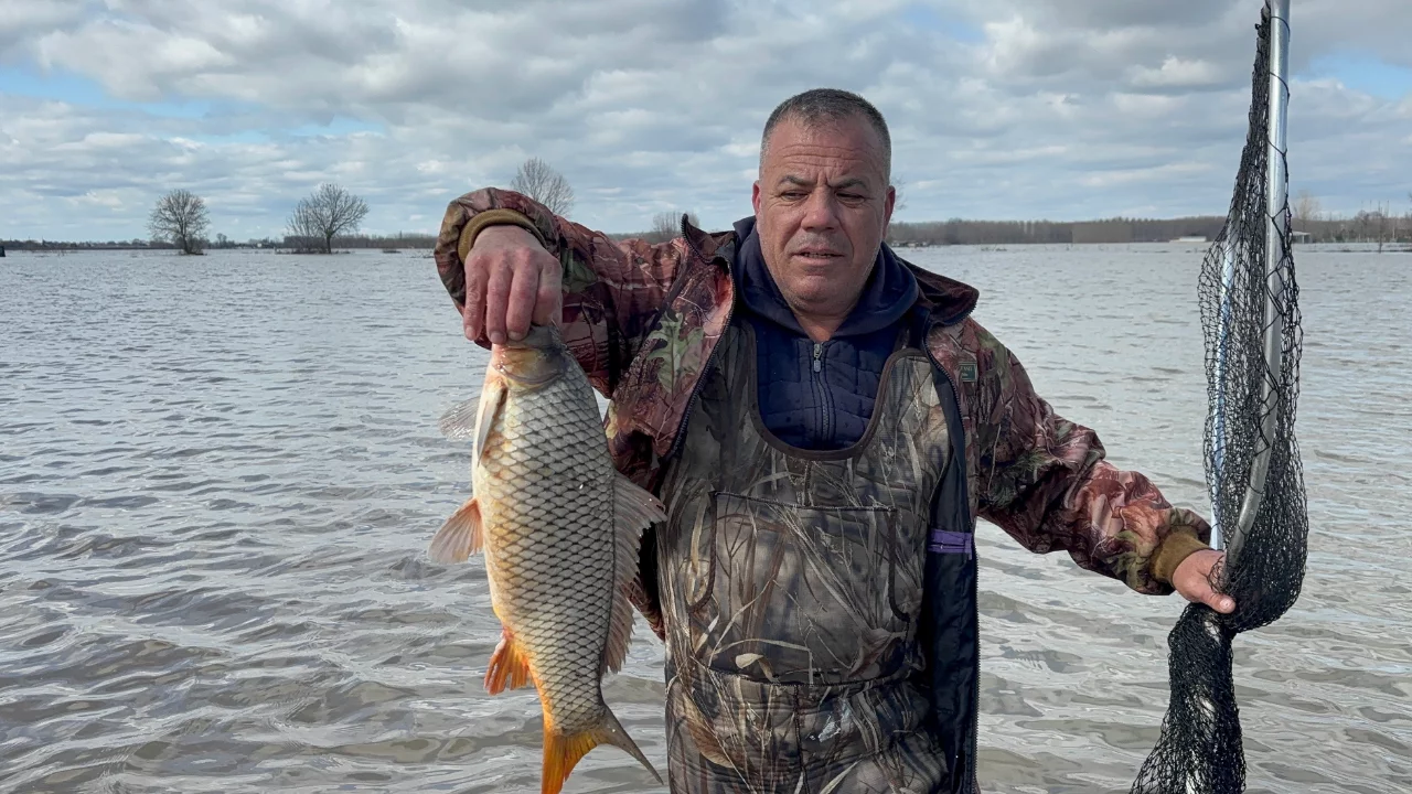Meriç'in taşması sonrası tarlada sazan yakaladılar