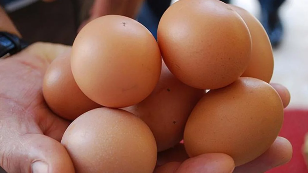 Yumurta sarısı aklandı: Yeni araştırmalar ezberi bozdu