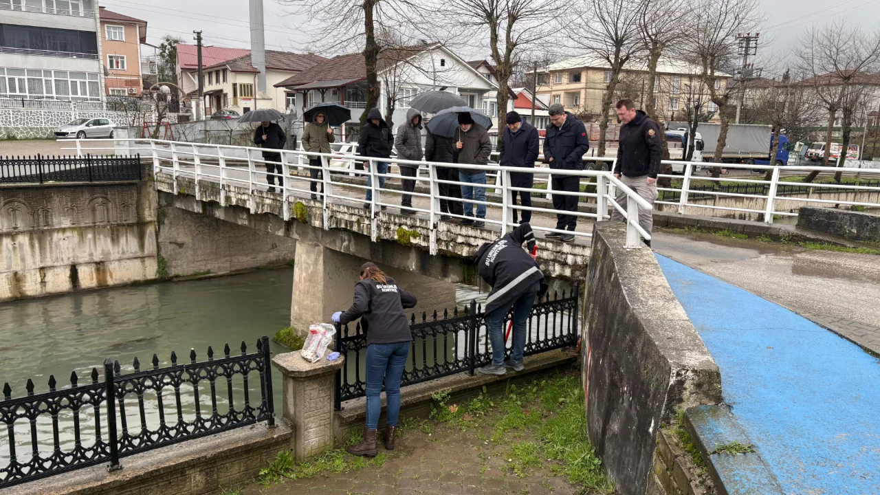 Sakarya'da balık ölümleriyle ilgili inceleme başlatıldı 