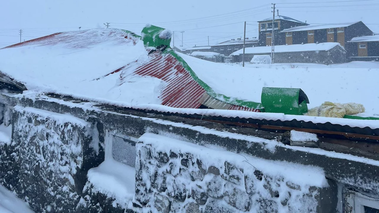 Çatısında kar biriken 2 ahır çöktü; 4 büyükbaş hayvan öldü
