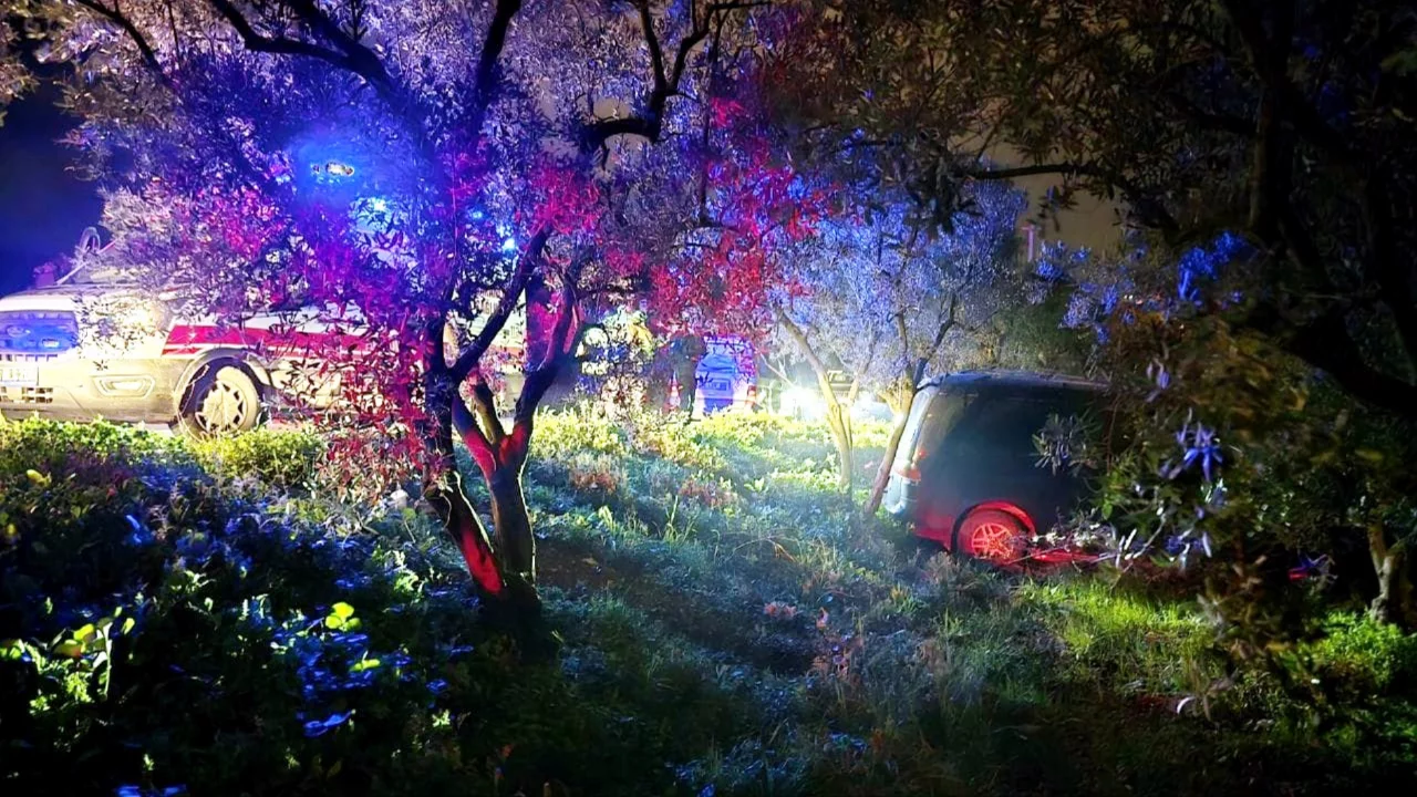 Mudanya'da kaza! Çarpmamak için manevra yaptı, zeytinliğe daldı