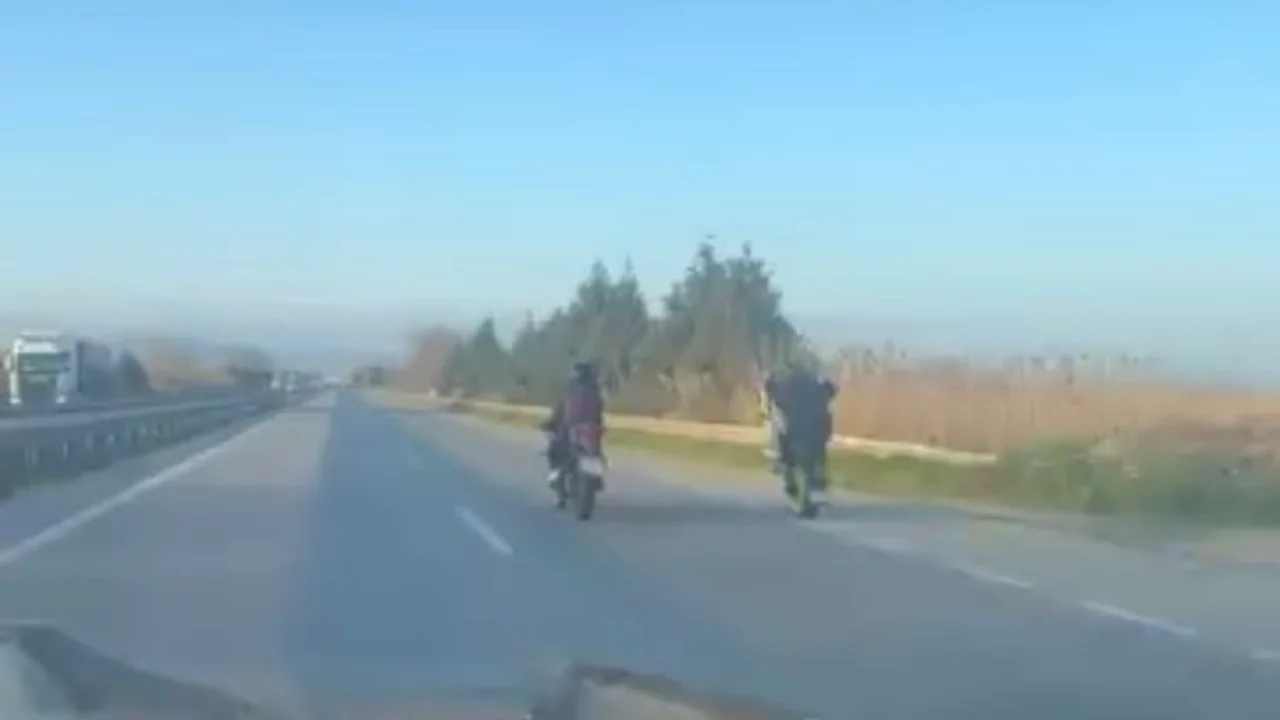 Bursa'da canlarını hiçe saydılar! 