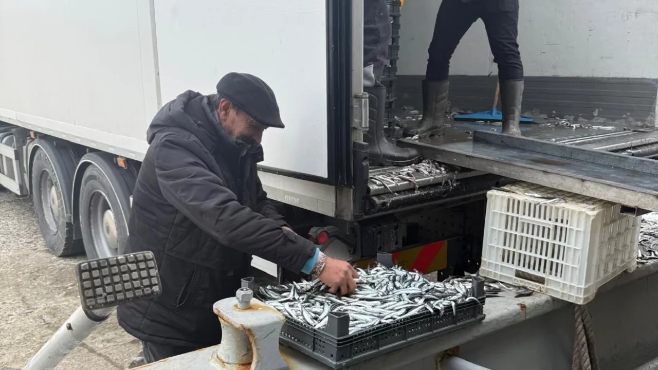 Balık&ccedil;ı Ramazan'da &uuml;cretsiz hamsi dağıttı