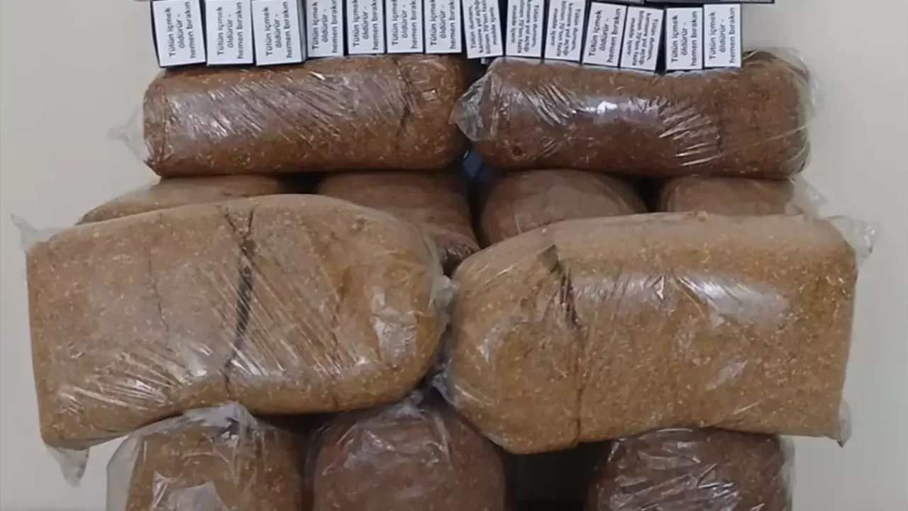 Samsun'da kaçakçılık operasyonu! 1 kişi yakalandı 