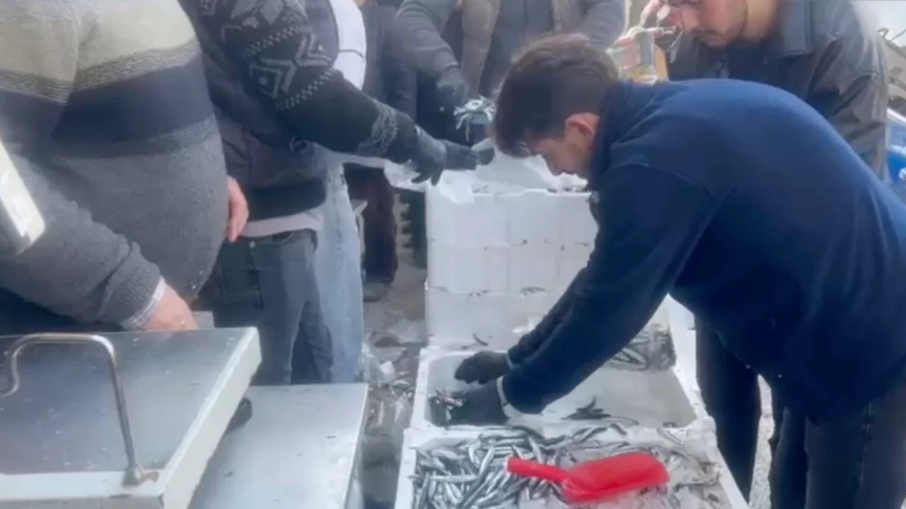 Çorum'da balıkçı baba ve oğlu 100 kasa ücretsiz balık dağıttı