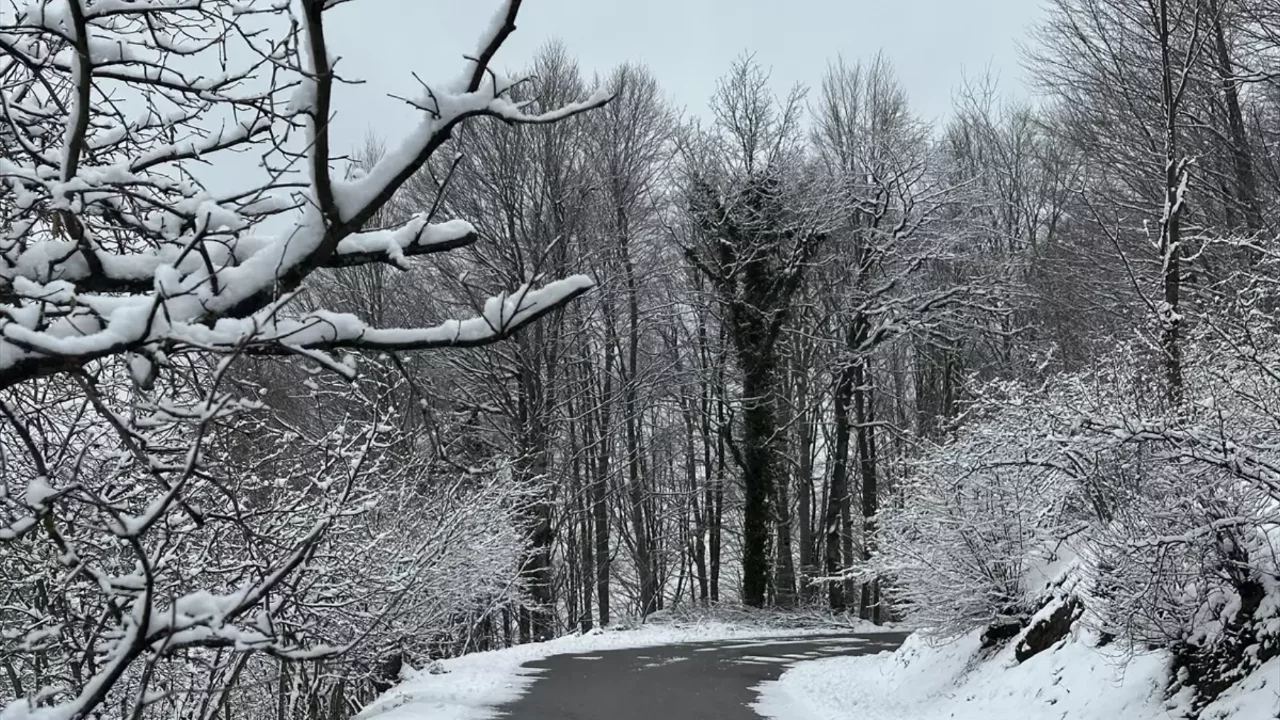 Gölyaka'nın yüksek kesimleri beyaz örtüyle kaplandı