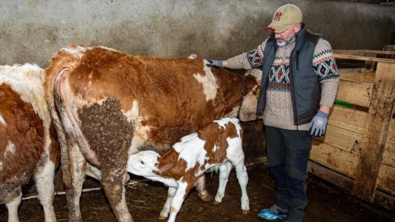 İstanbul'u bırakıp köyüne dönen mühendis, Erzurum'da ilham oluyor