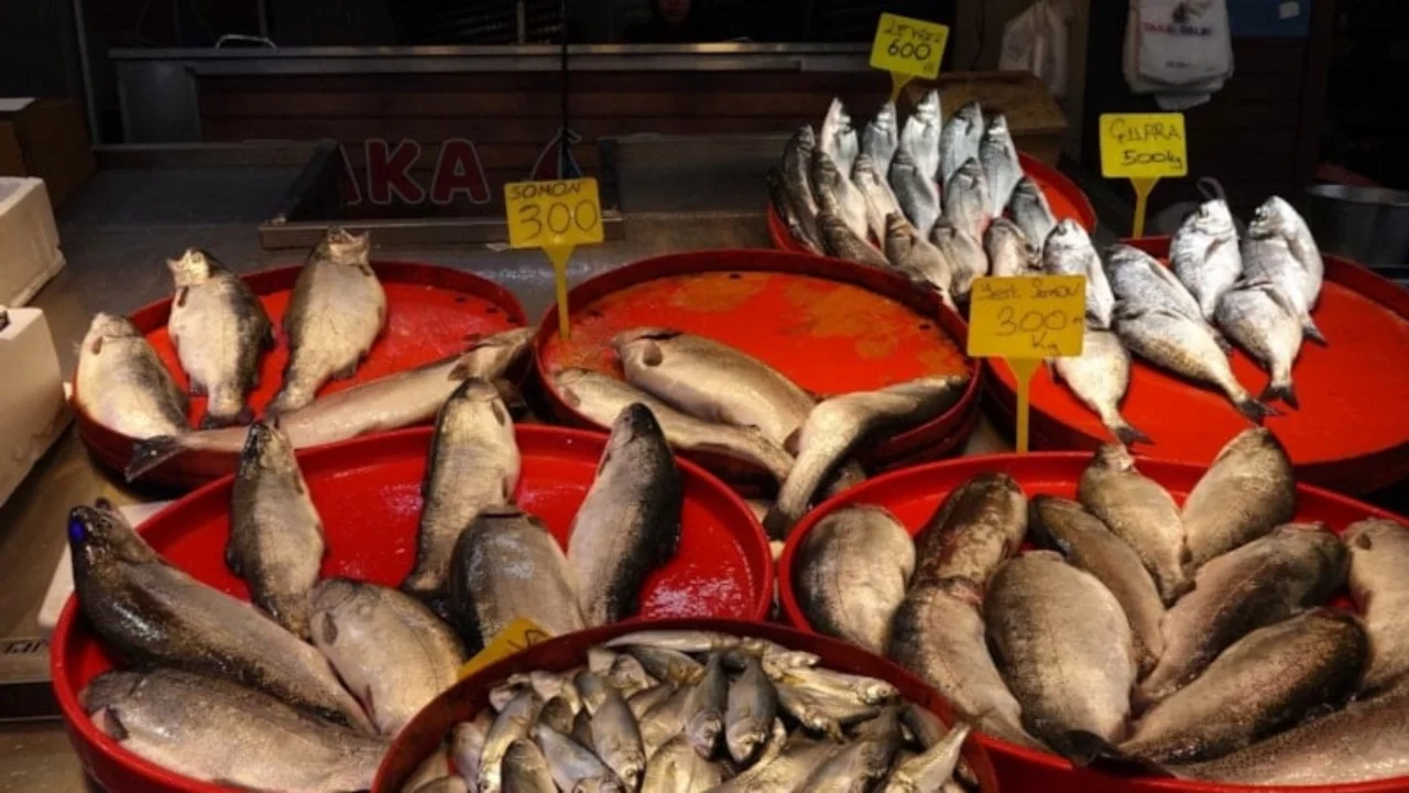 Trabzon'da hamsi ve istavrit bereketi