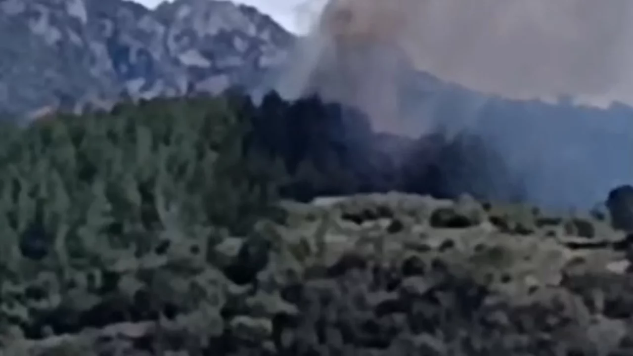 Osmaniye'de orman yangını