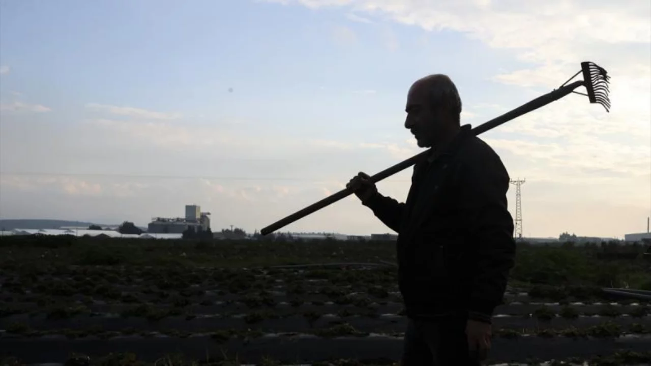 Tarım işçilerinin günlük ücreti arttı 